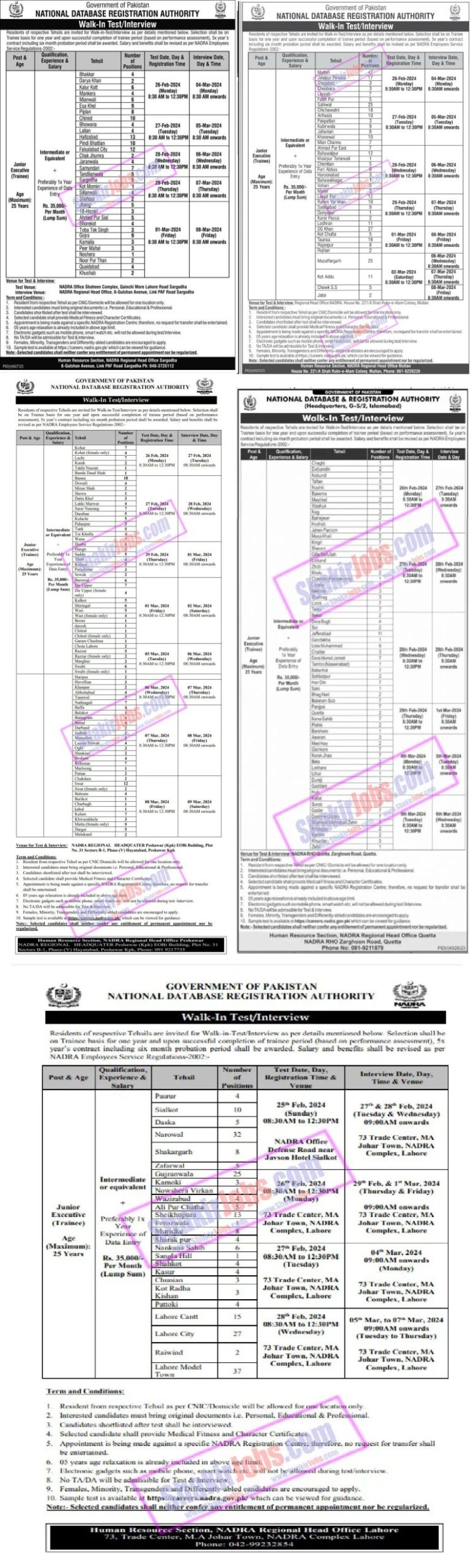 NADRA Junior Executive Jobs 2024