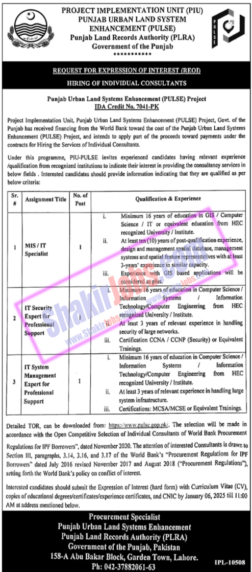 Punjab Land Records Authority PLRA Jobs 2025 2