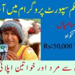 BISP Jobs Benazir Income Support Programme
