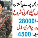 Rangers Jobs in Punjab, Sindh, and All Pakistan
