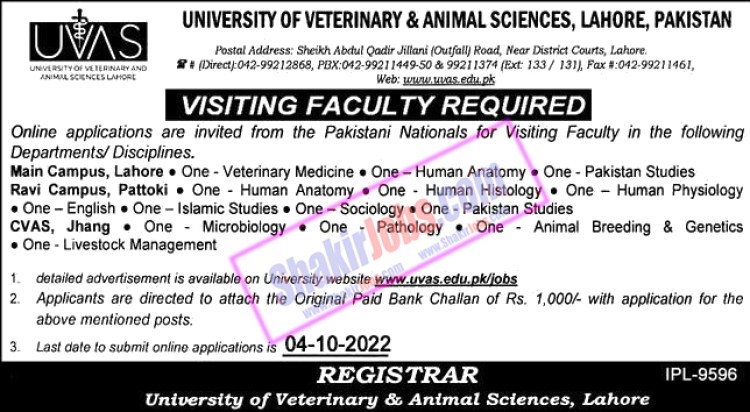 UVAS Jobs 2022