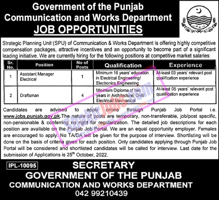 C and W Punjab Jobs 2022