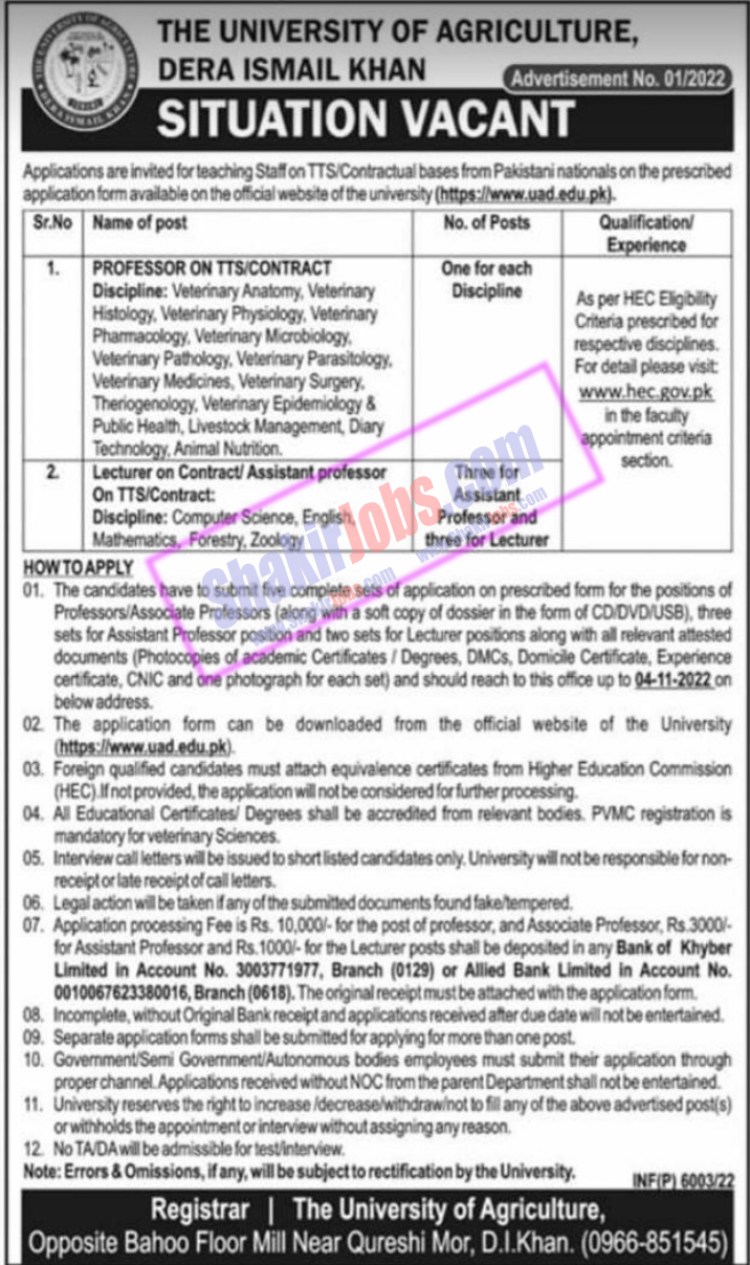 University of Agriculture Dera Ismail Khan Jobs 2022