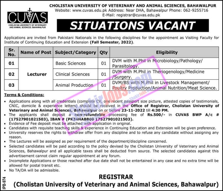Cholistan University Bahawalpur Jobs November 2022