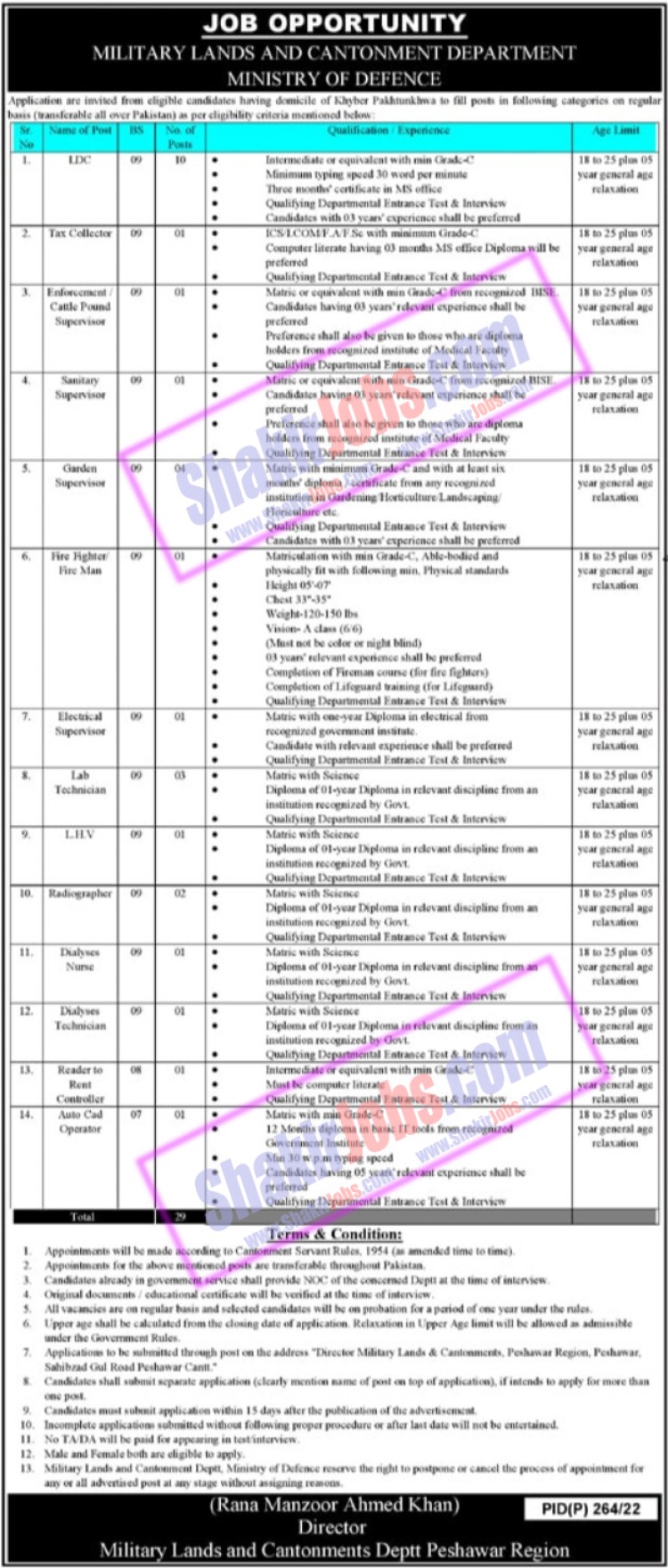 MLC Jobs November 2022