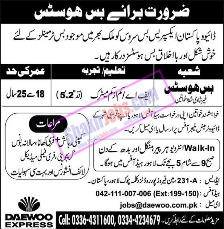 Daewoo Express Jobs November 2022