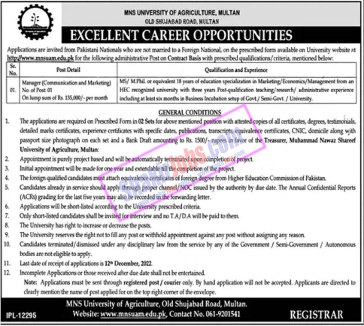 MNS University of Agriculture Multan Jobs November 2022