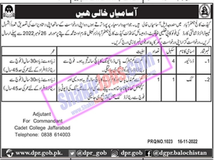 Cadet College Jaffarabad Jobs November 2022