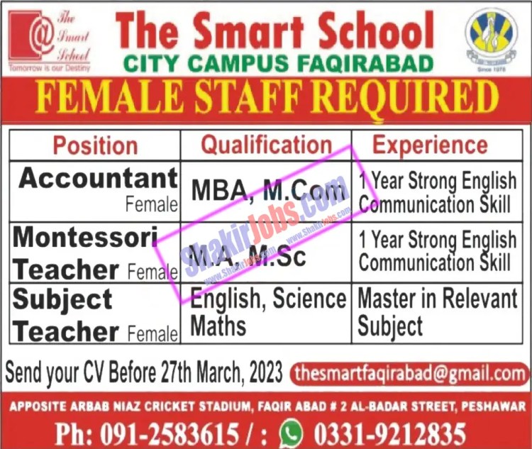 The Smart School City Campus Faqirabad Peshawar Jobs March 2023