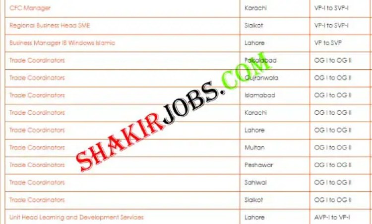 Bank of Punjab Jobs 2023 Ad 2