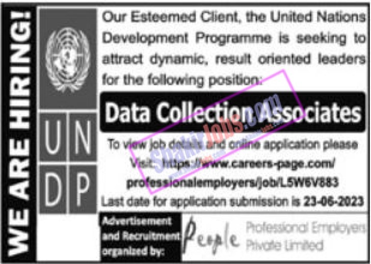 UNDP Data Collection Associate Jobs June 2023