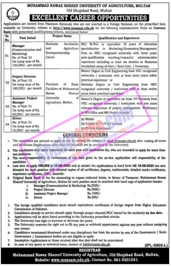 MNS University of Agriculture Multan Jobs August 2023 Ad 2