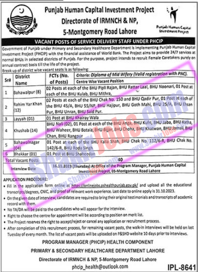 Primary and Secondary Healthcare Punjab Jobs October 2023 Ad 1