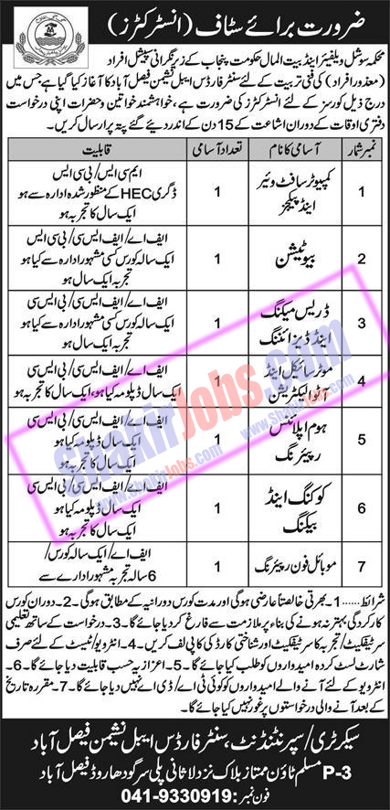 Bait ul Mal Punjab Jobs 2024