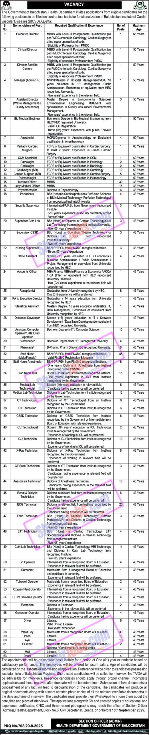 Health Department Balochistan Jobs 2025 Ad 1