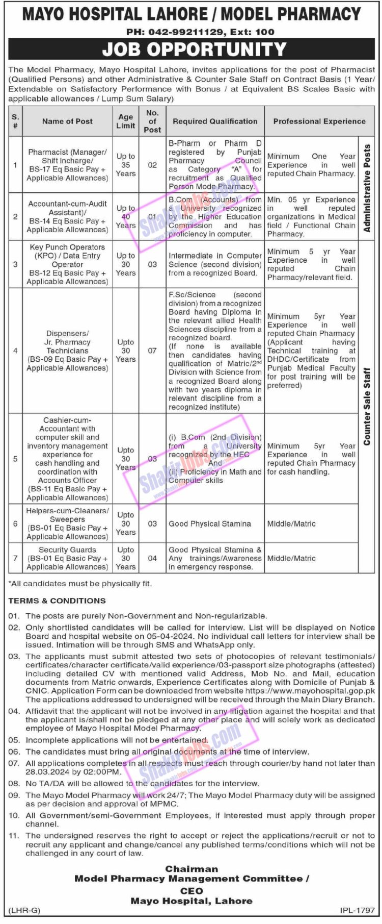 Mayo Hospital Jobs 2024