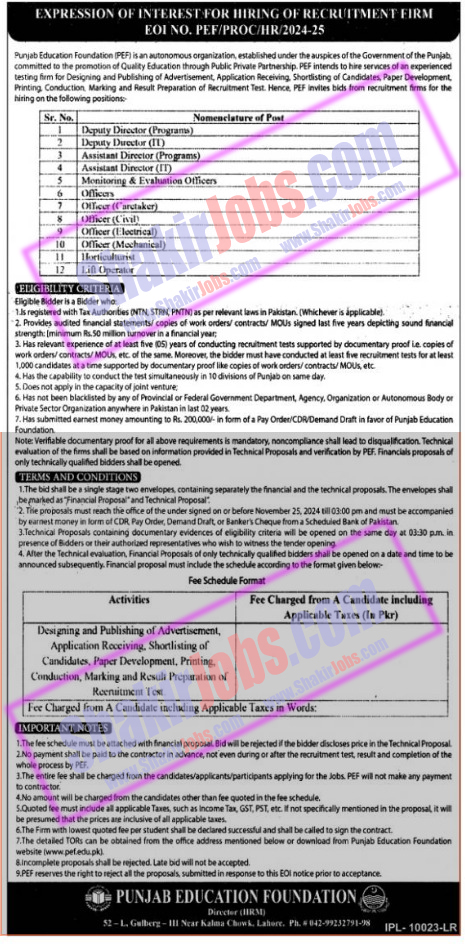 Punjab Education Foundation PEF Jobs 2024