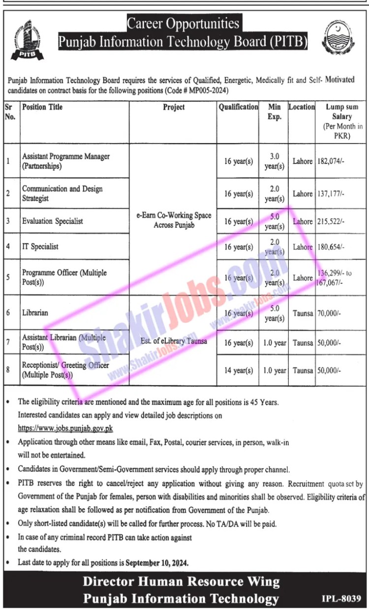 Punjab Information Technology Board Jobs 2024