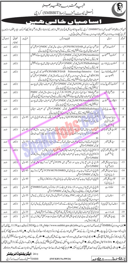 SMBBIT Jobs 2024 Shaheed Mohtarma Benazir Bhutto Institute of Trauma